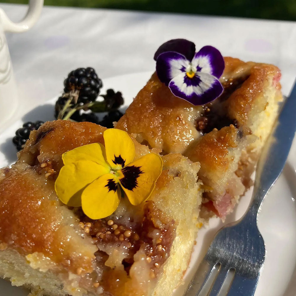 fig and almond traybake surrey